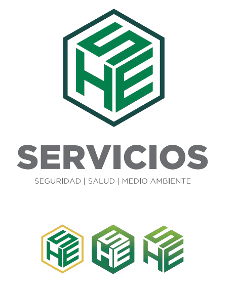 SERVICIOS HSE
